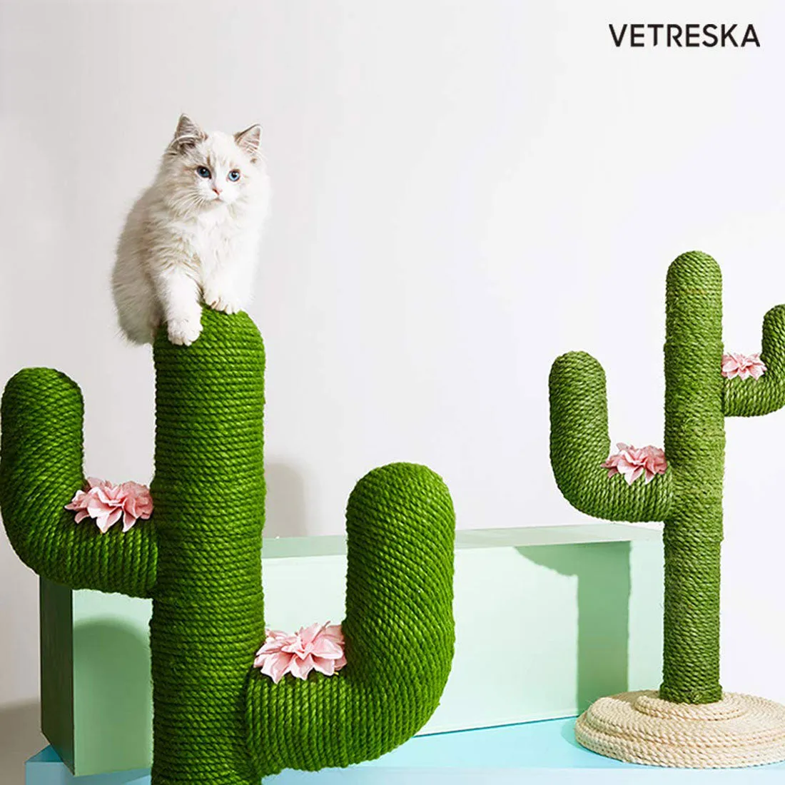 Vetreska Cat Kitten Oasis Cactus Scratcher Tree Cat Climbing Scratching Board Gym