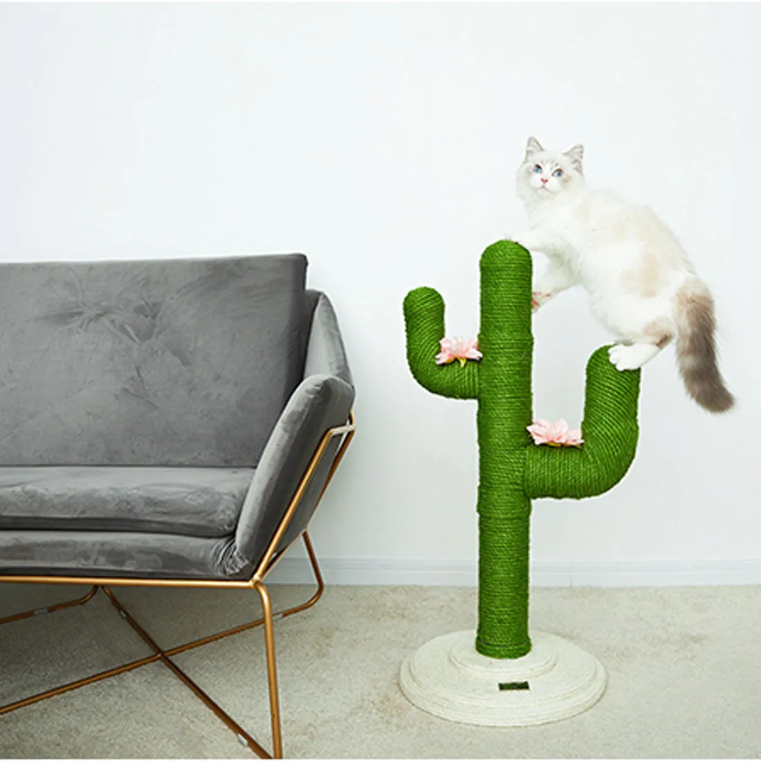 Vetreska Cat Kitten Oasis Cactus Scratcher Tree Cat Climbing Scratching Board Gym