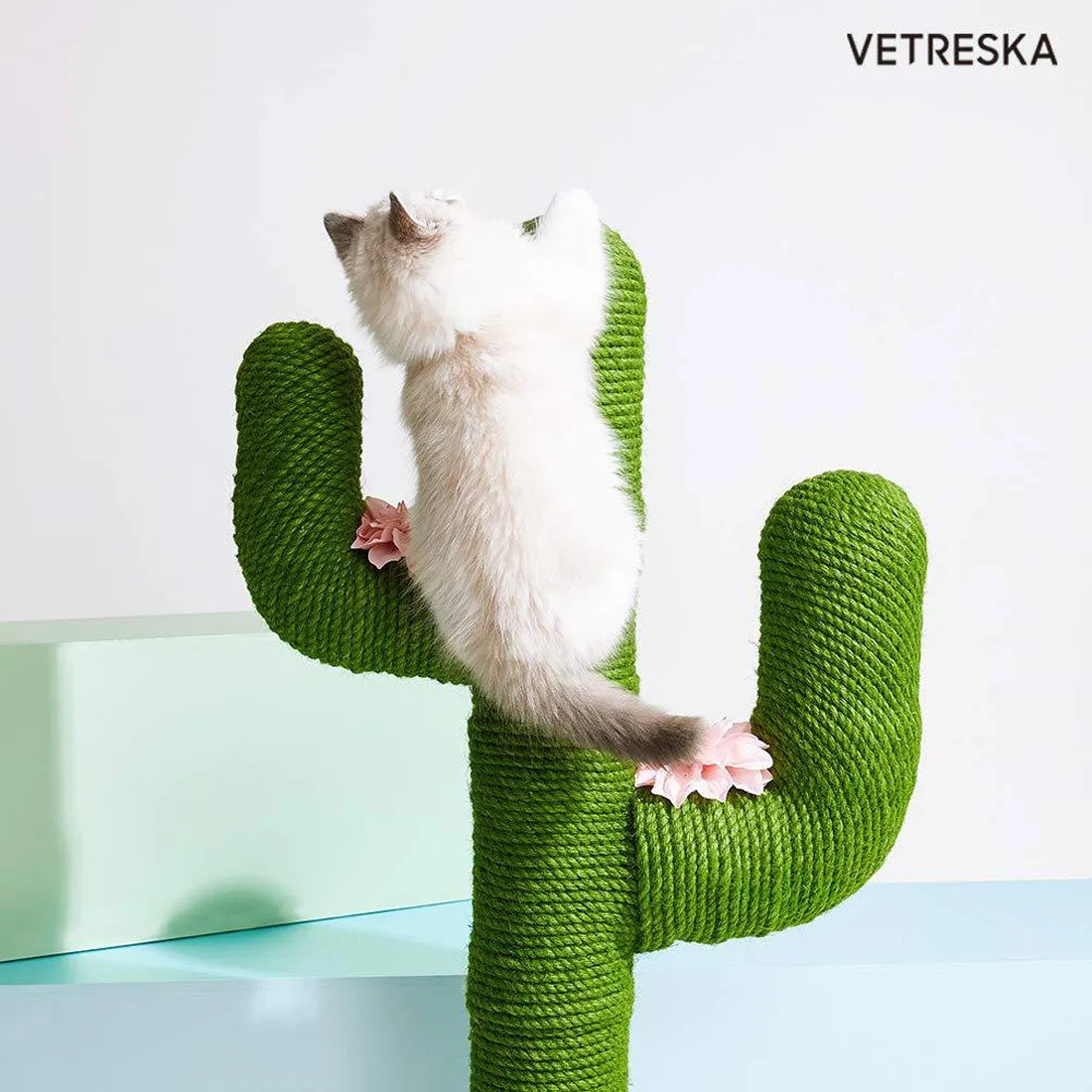 Vetreska Cat Kitten Oasis Cactus Scratcher Tree Cat Climbing Scratching Board Gym