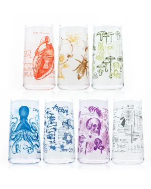 Vintage Science Drinking Glassware Set of 7