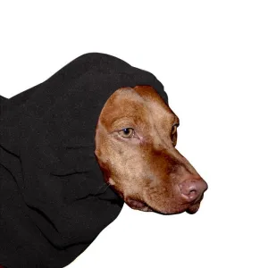 Vizsla Hood