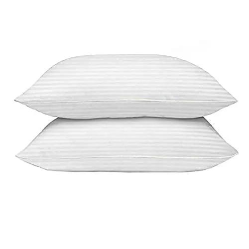 VLYSIUM rectangular 12x18 Inches cushion, Set of 2, Microfiber Hotel Quality Premium Fibre Soft Cushion, Pillow Filler, White
