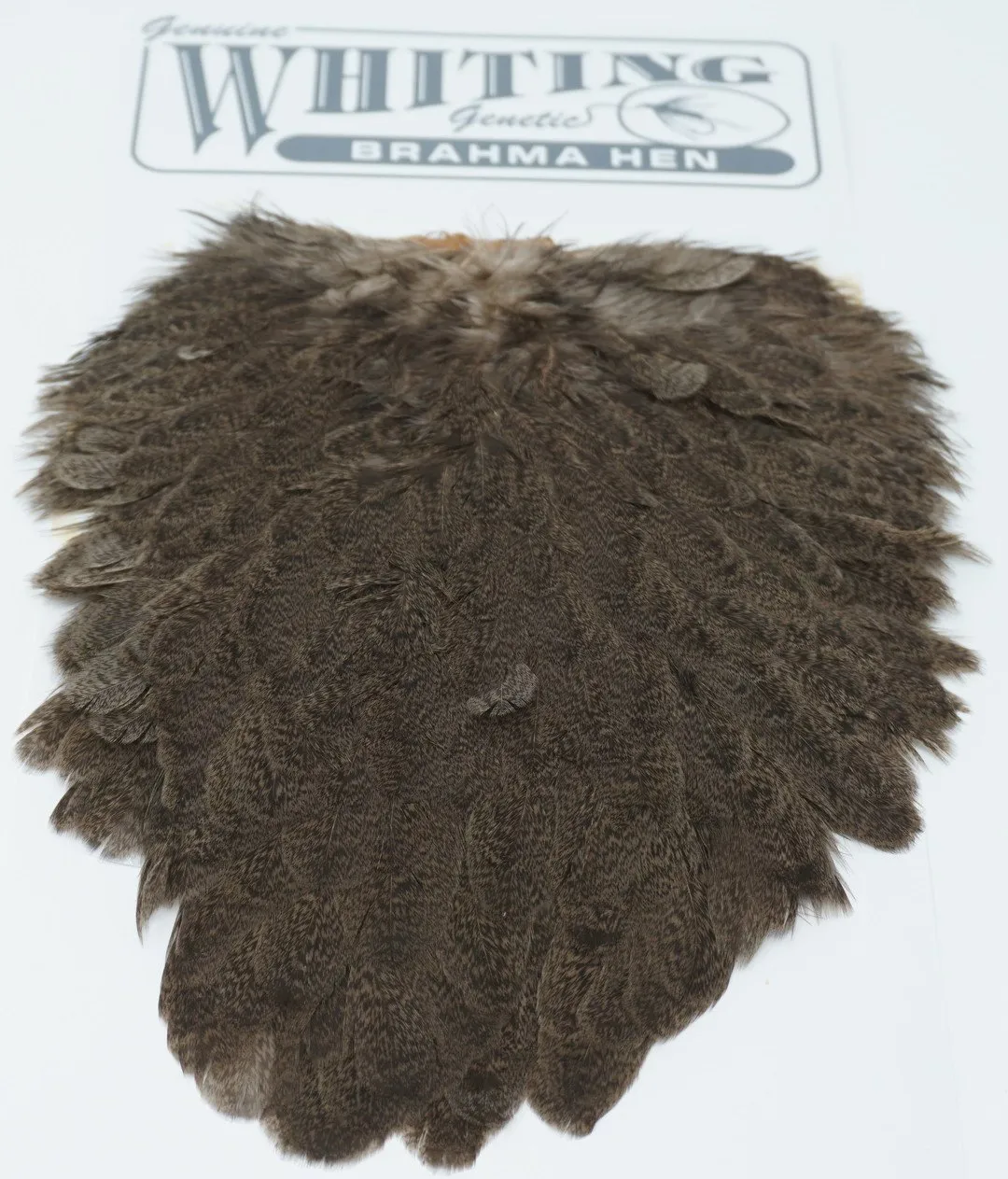 Whiting Brahma Hen Saddle