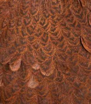 Whiting Brahma Hen Saddle