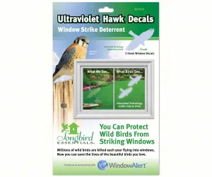 Window Hawk Transparent