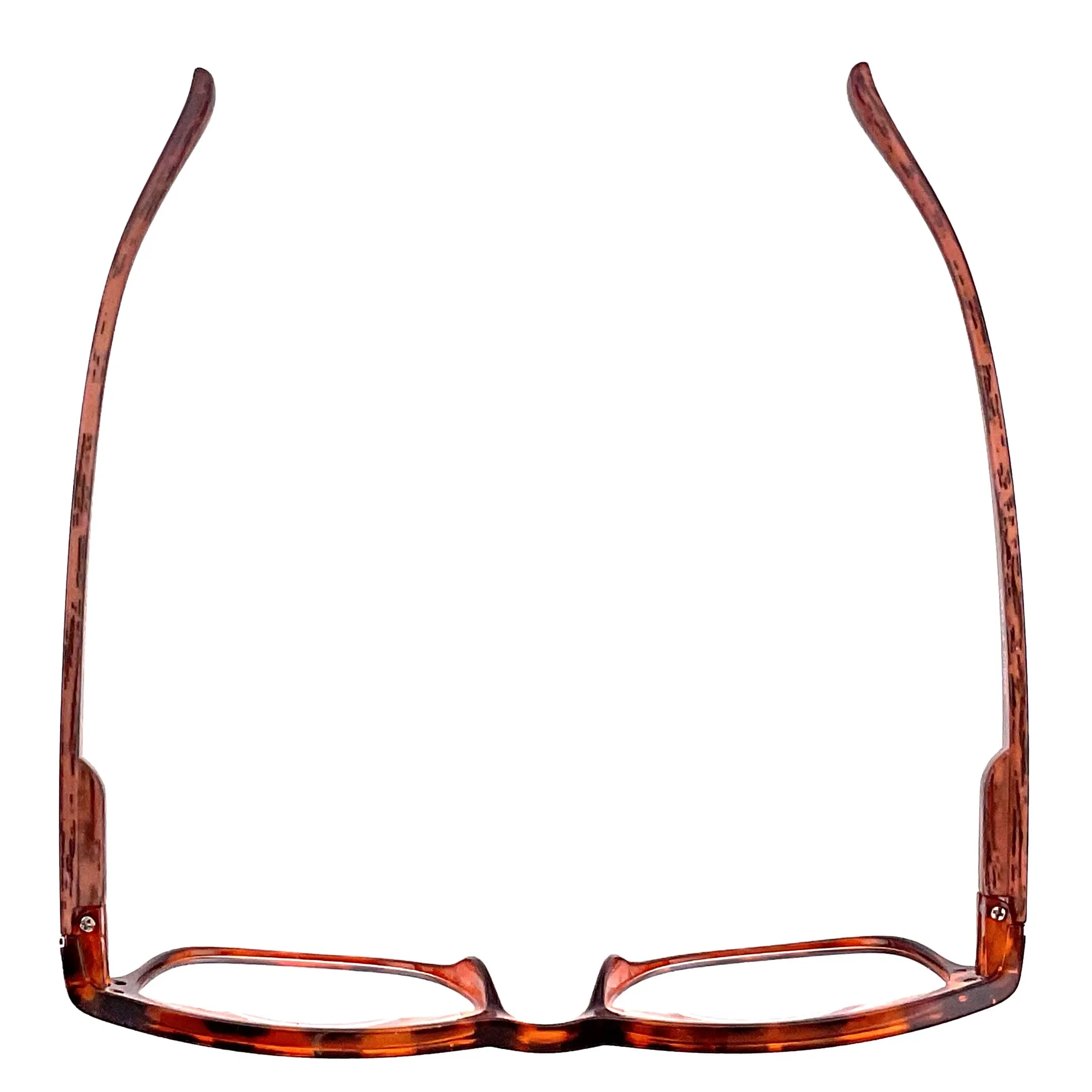 Wood Tone Wayfarer Readers With Clear Case