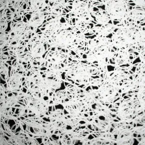 Wool Melton Embroidery Design 3 White