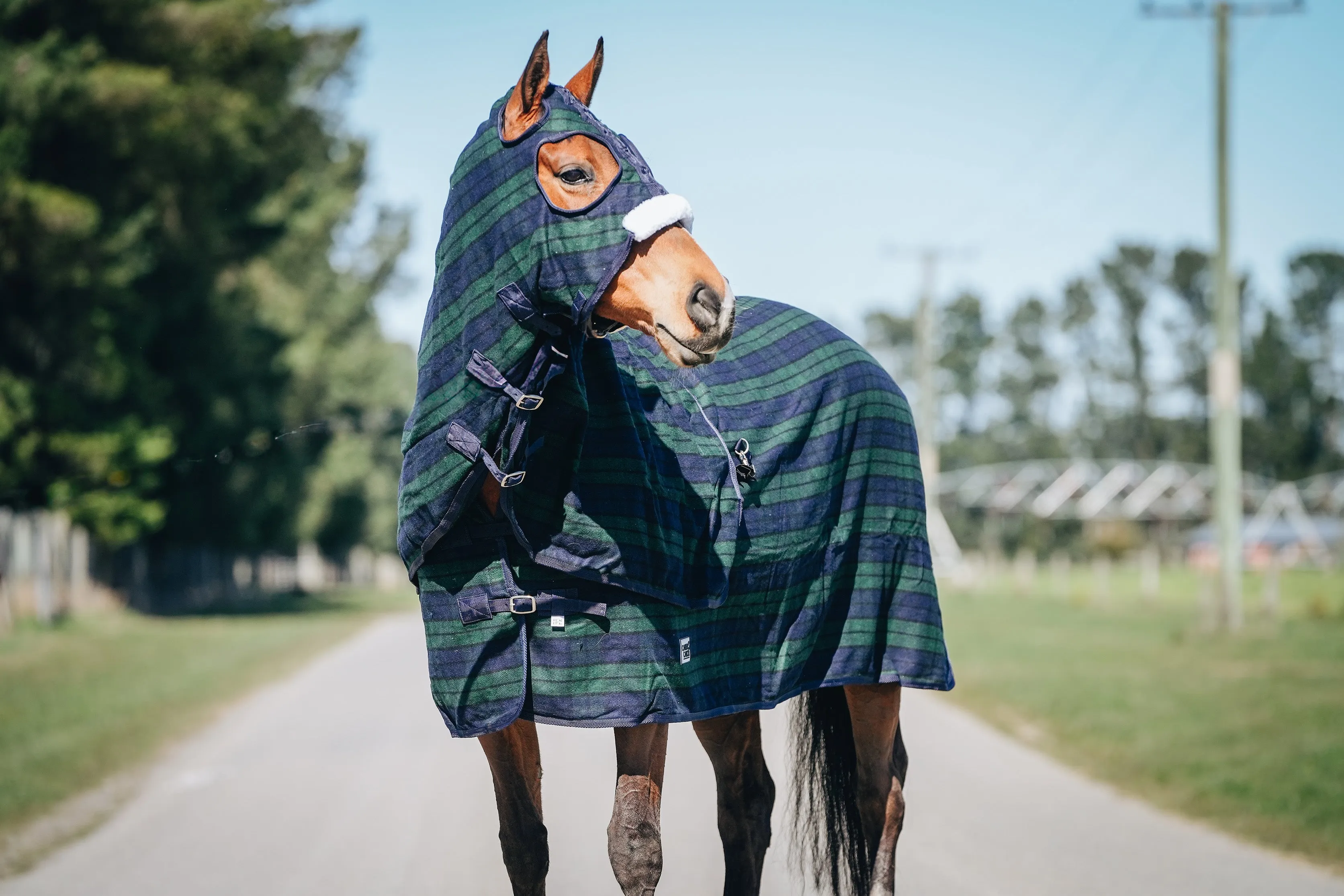 Wool Navy & Green Hood and Rug Set