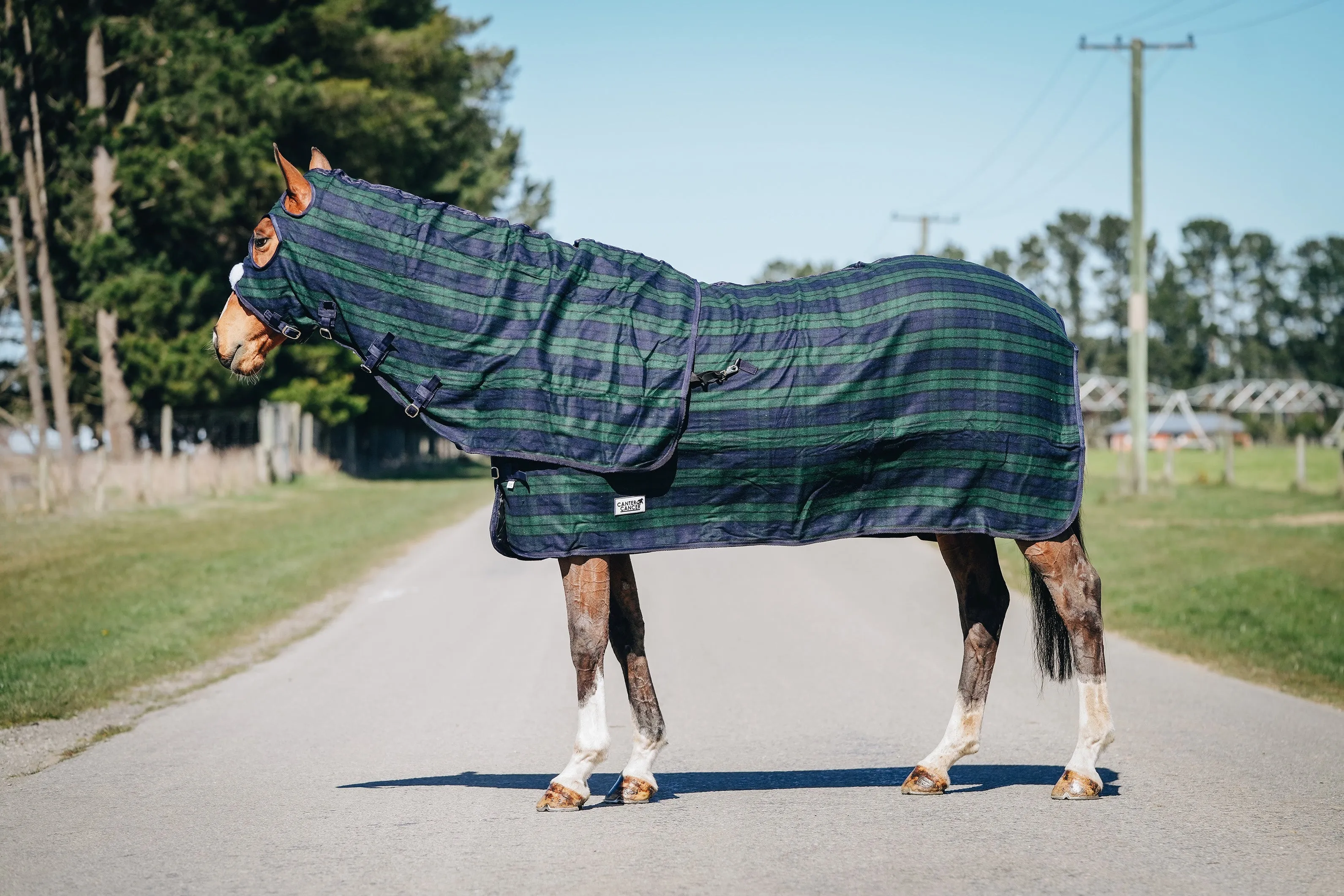 Wool Navy & Green Hood and Rug Set
