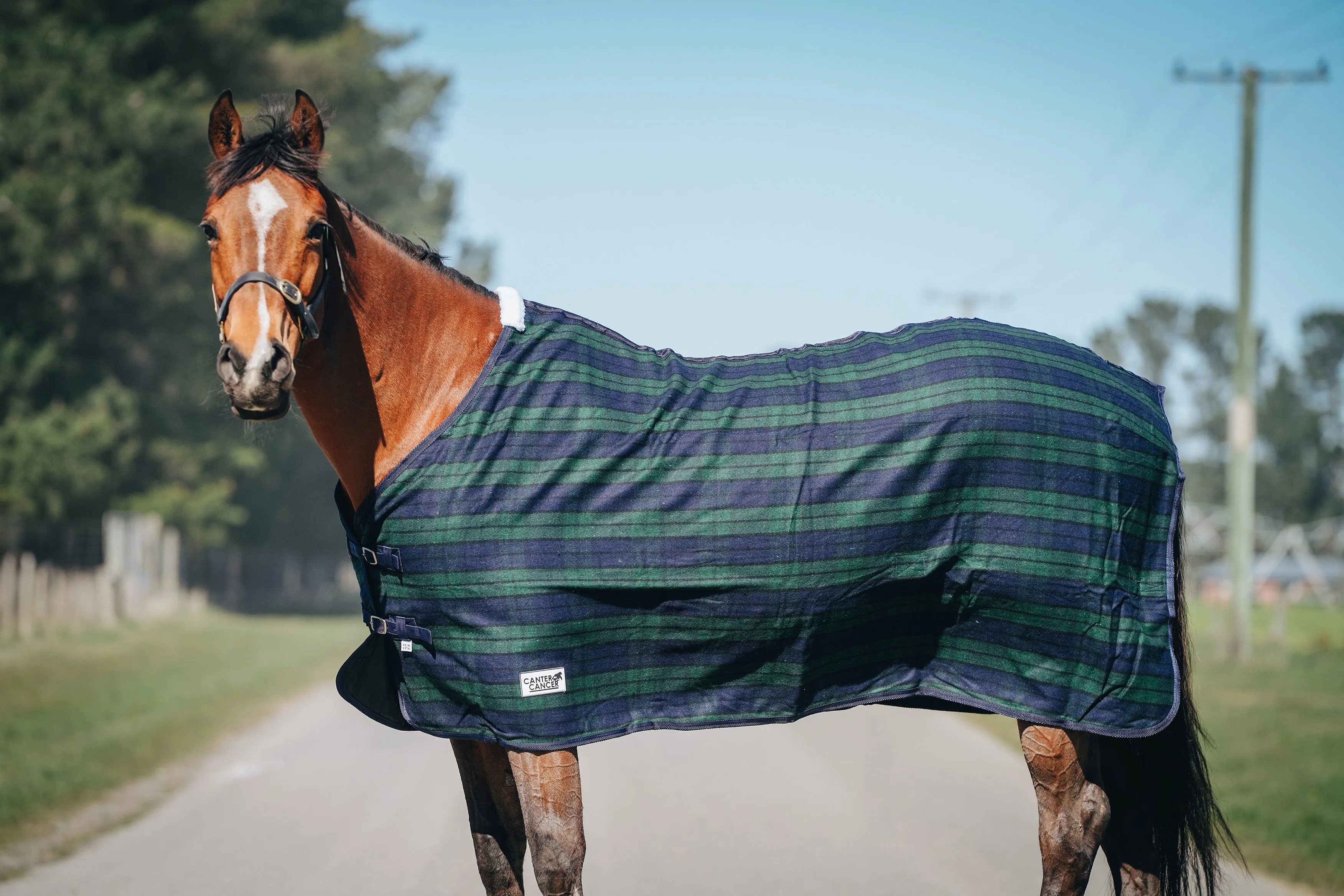 Wool Navy & Green Hood and Rug Set