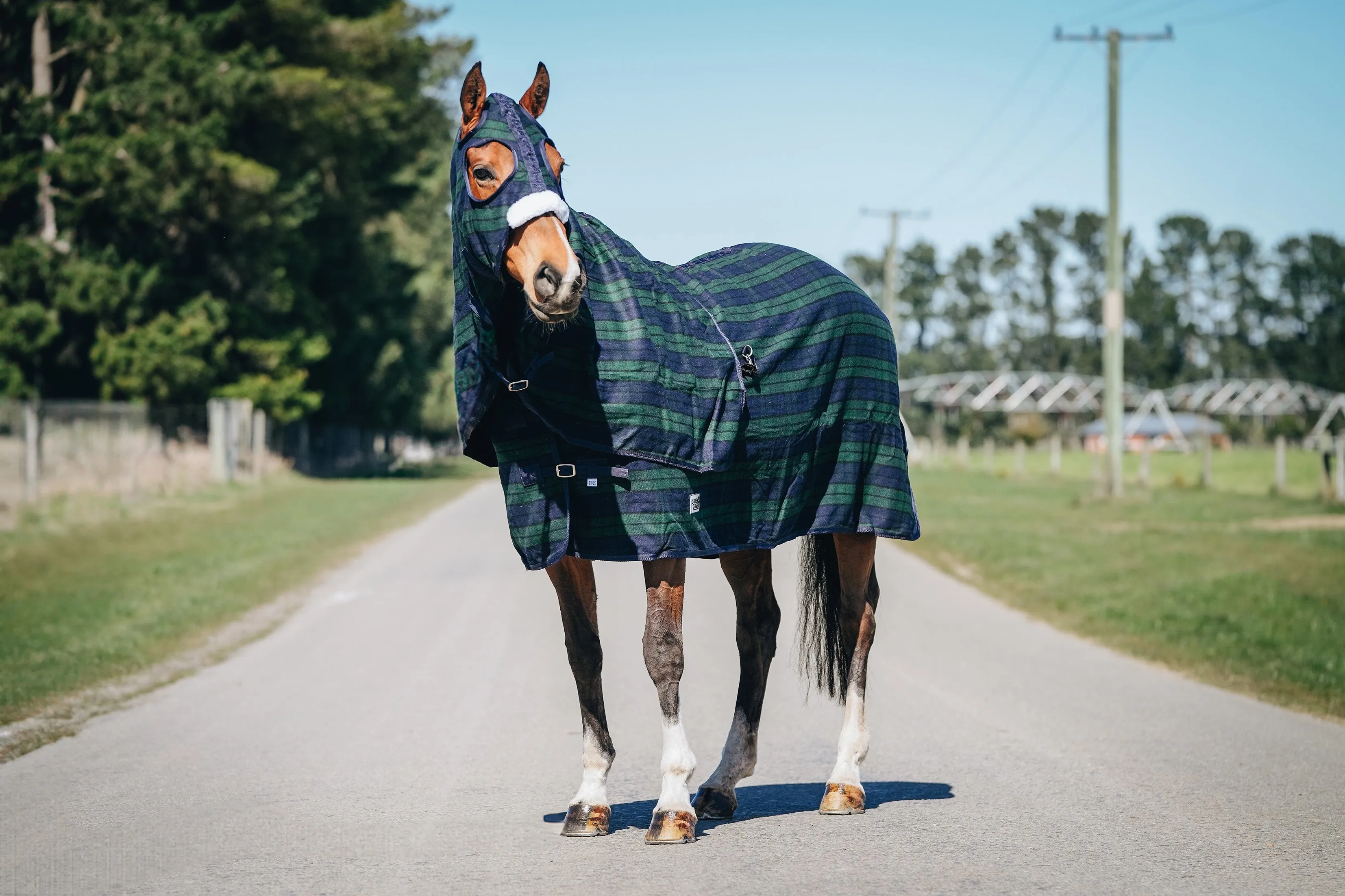 Wool Navy & Green Hood and Rug Set