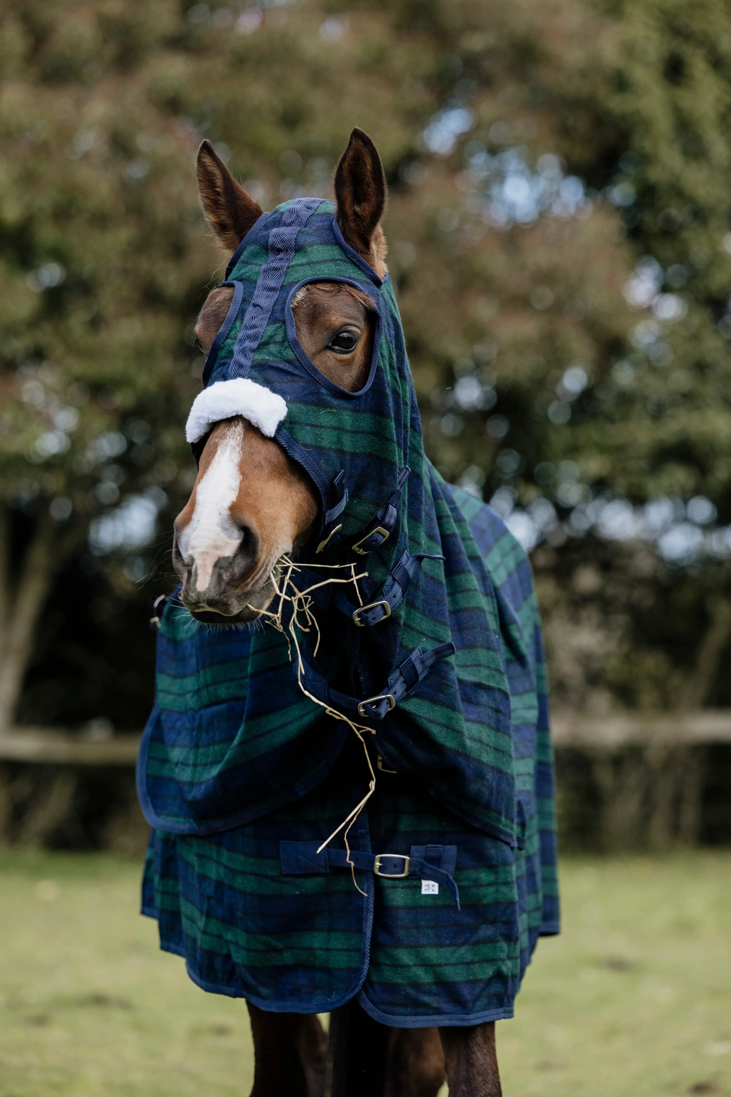 Wool Navy & Green Hood and Rug Set