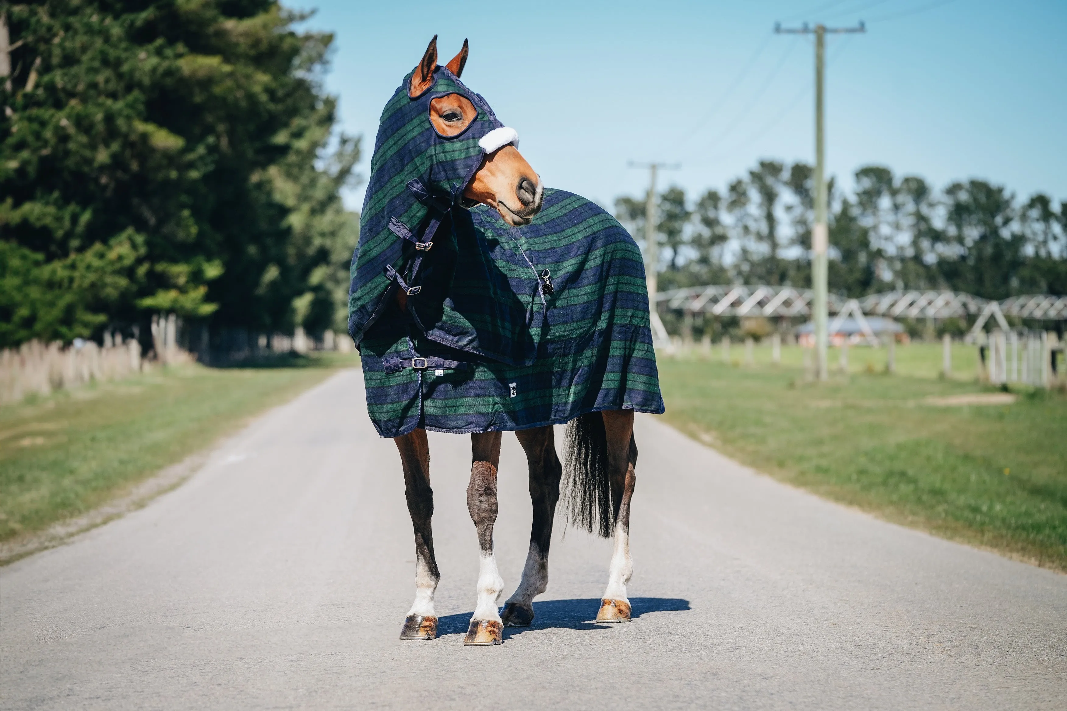 Wool Navy & Green Hood and Rug Set