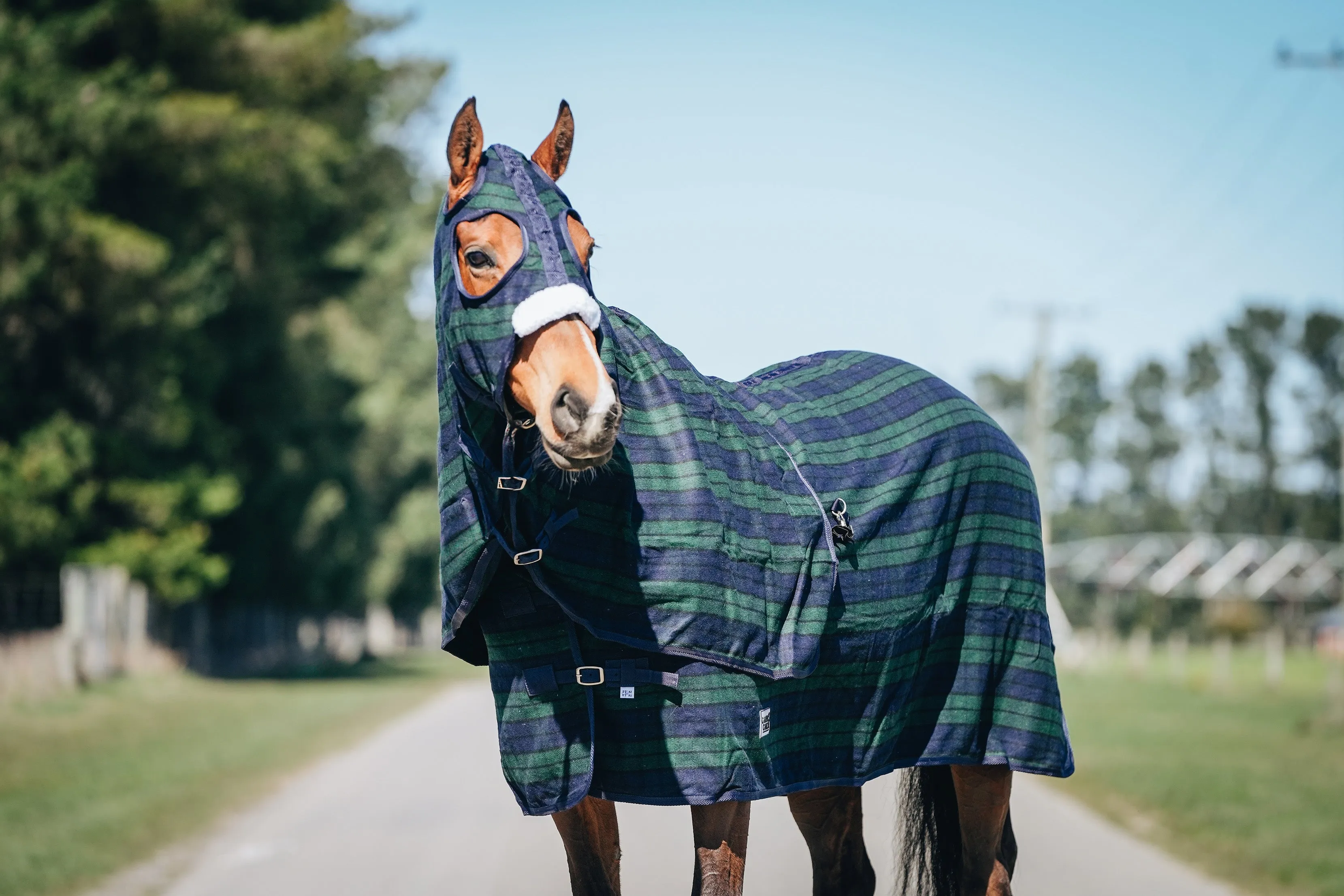 Wool Navy & Green Hood and Rug Set