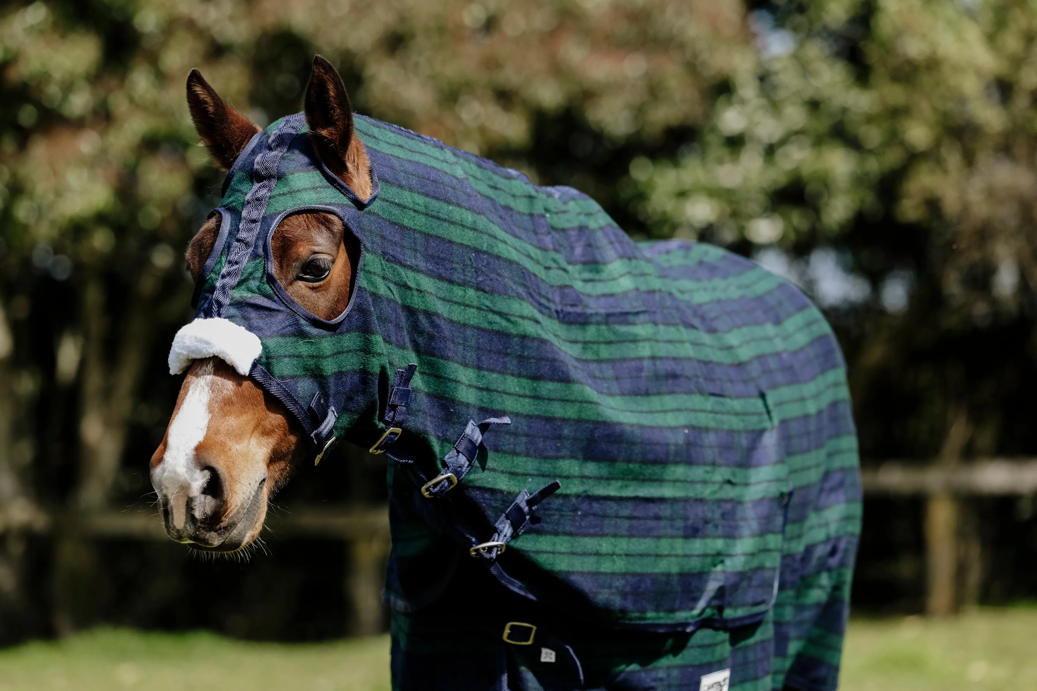 Wool Navy & Green Hood and Rug Set