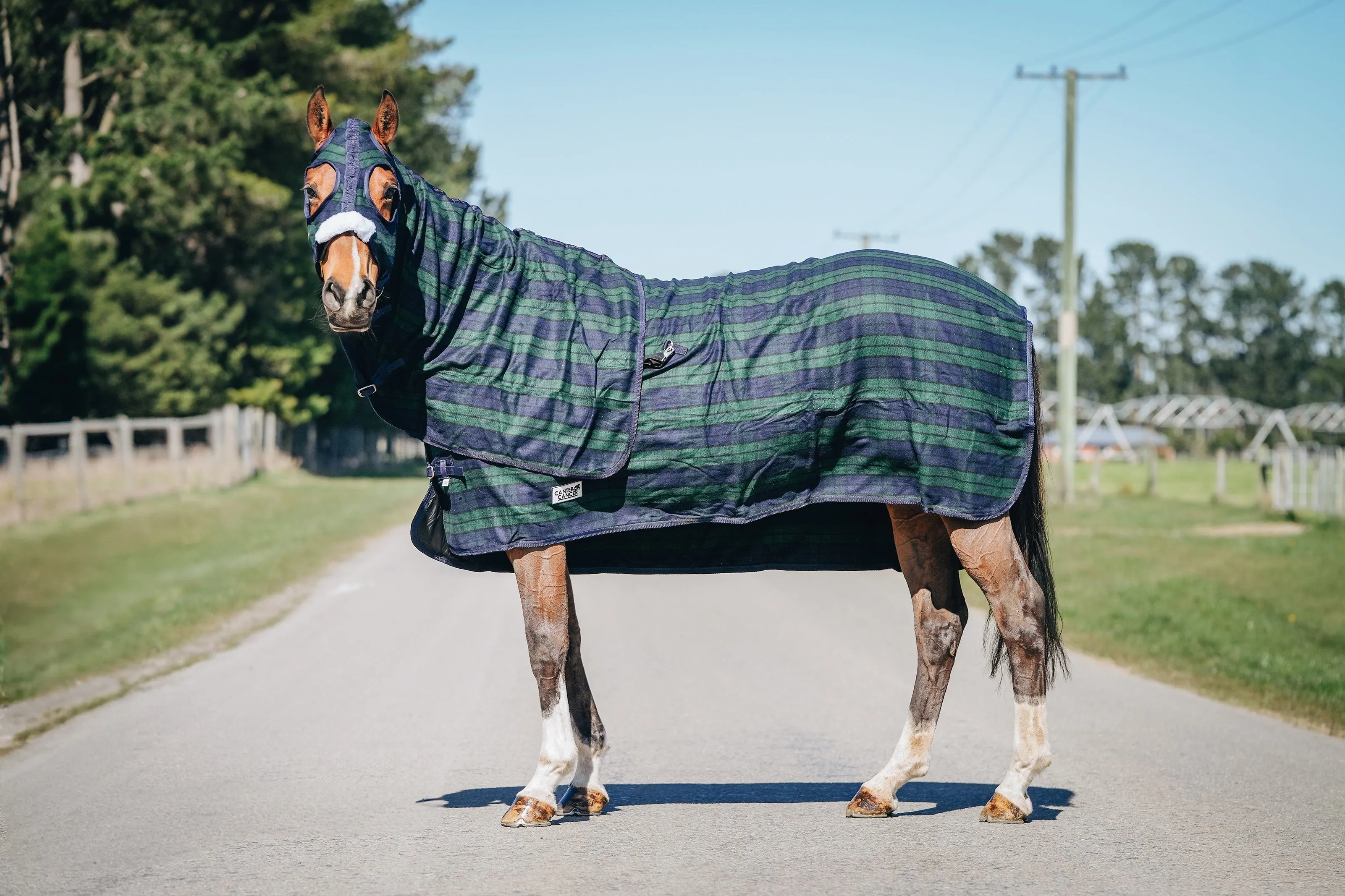 Wool Navy & Green Hood and Rug Set
