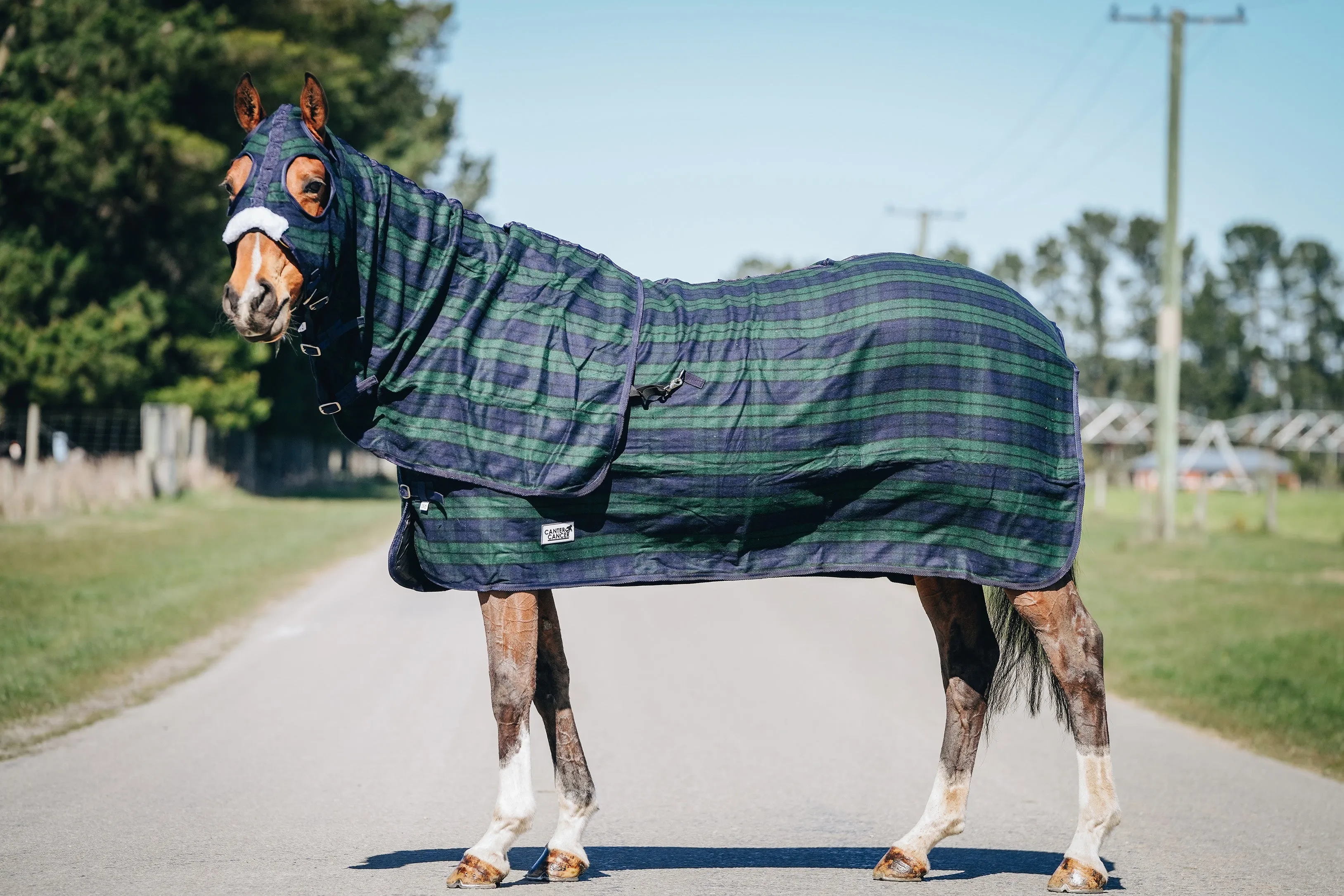 Wool Navy & Green Hood and Rug Set