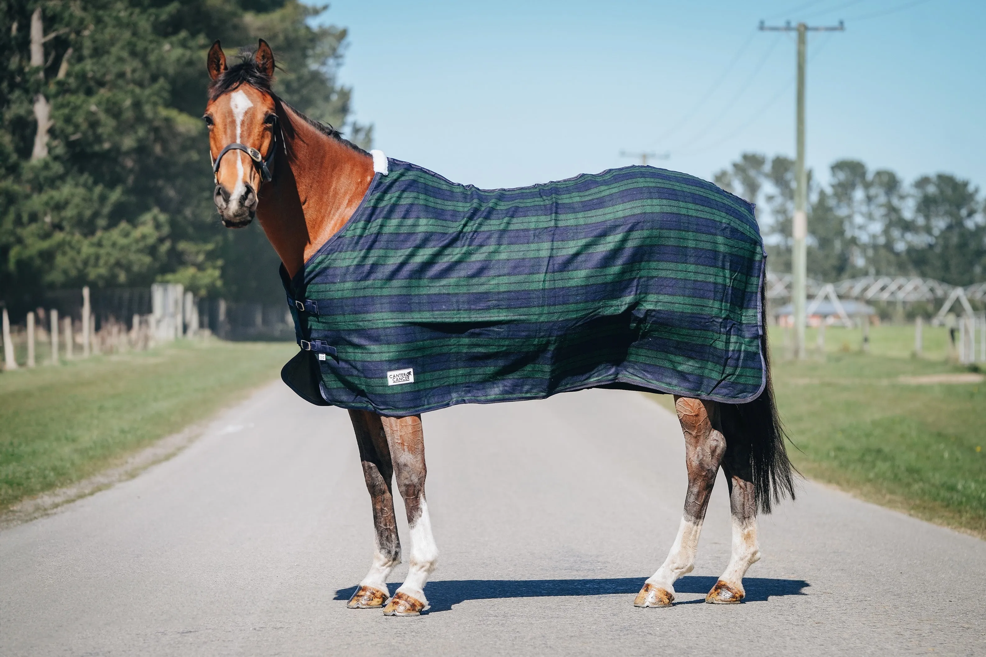 Wool Navy & Green Hood and Rug Set