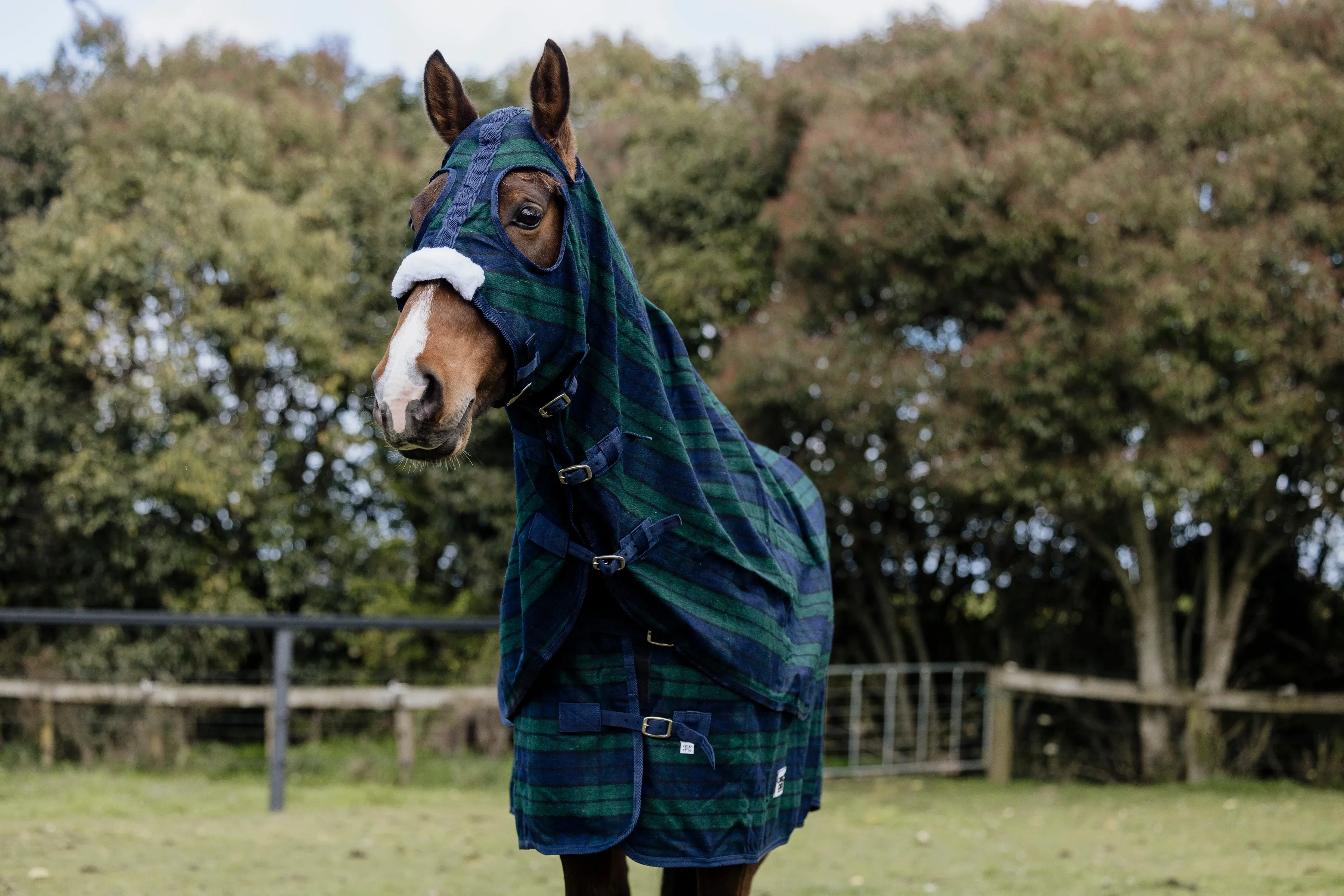 Wool Navy & Green Hood and Rug Set