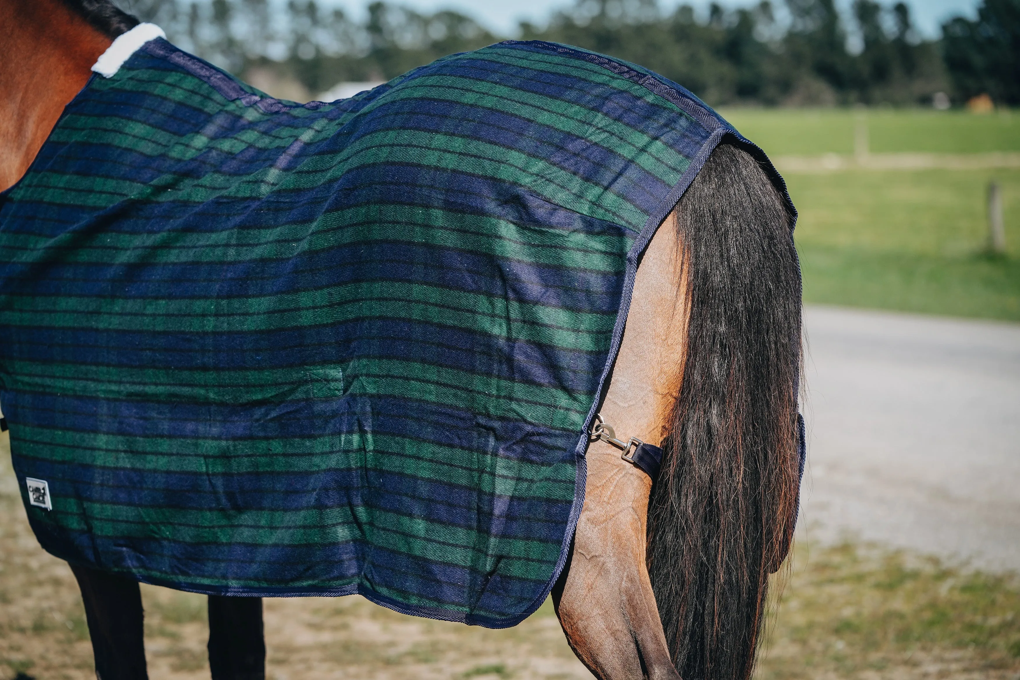 Wool Navy & Green Hood and Rug Set