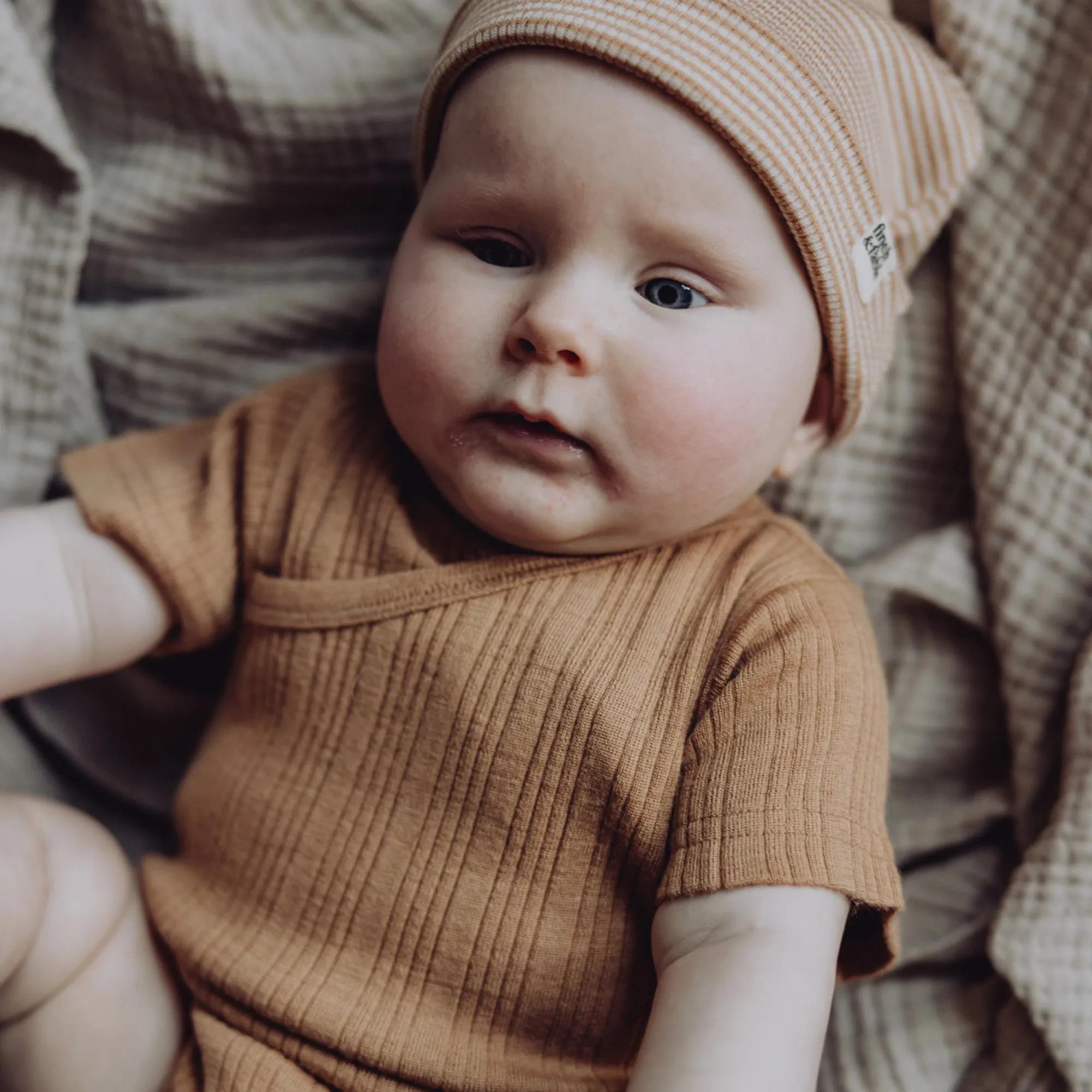 Wool Rib S/S Bodysuit - Fawn