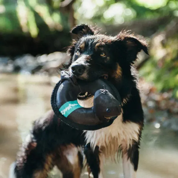 Zippy Paws Floaterz Shark - Floating Squeaker Dog Toy
