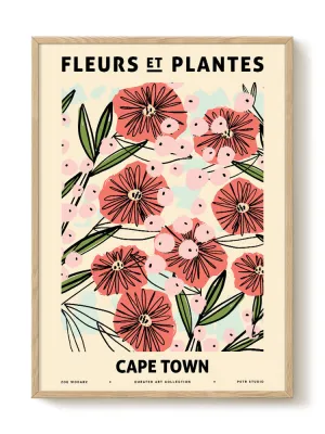 Zoe - Fleurs et Plantes - Cape town
